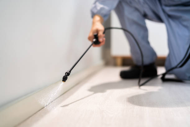 Licensed Cockroach Control service in Parsons, WV - Nex Pest Control