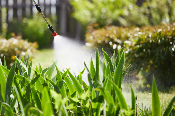 24/7 Emergency Cockroach Control experts in Parsons, WV